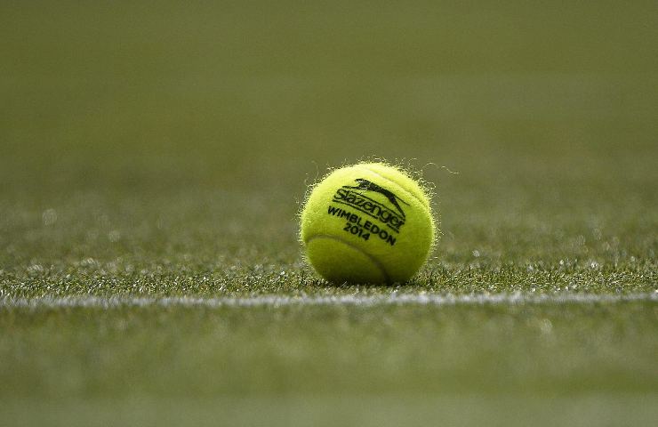 Palla da tennis Wimbledon
